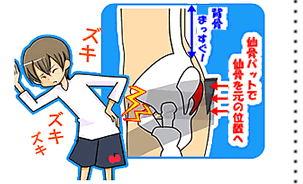 �v���Y�}�n���f�B���g�p���Č��ʂ��o���ʐ^�ł�